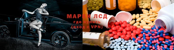 индика Беломорск