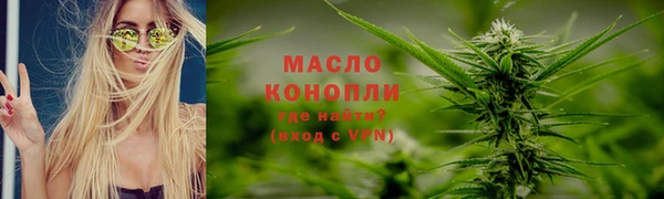 индика Беломорск