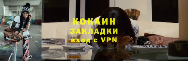 индика Беломорск