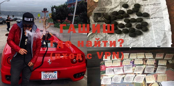индика Беломорск