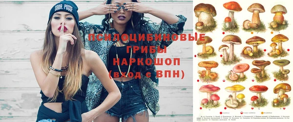 индика Беломорск
