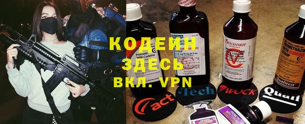 индика Беломорск