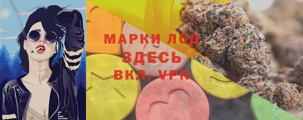 индика Беломорск