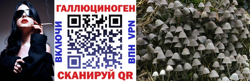 Псилоцибиновые грибы Magic Shrooms  mega зеркало  Высоковск  где найти наркотики 