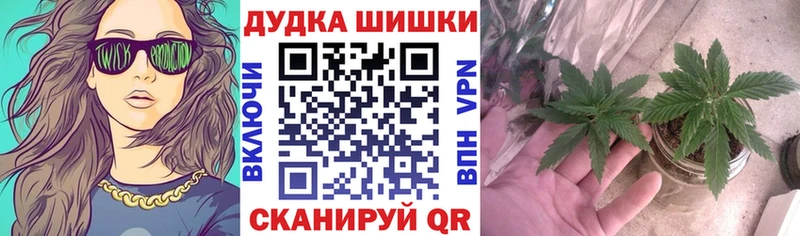 Бошки Шишки OG Kush  где купить   blacksprut   Высоковск 